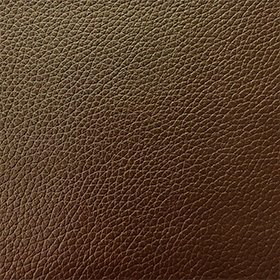 Bio-based Leather