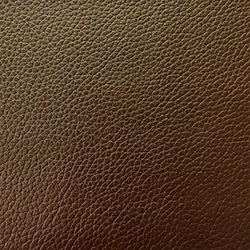 Bio-Based Leather