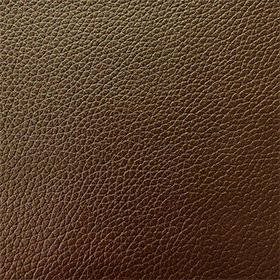 Bio-Based Leather