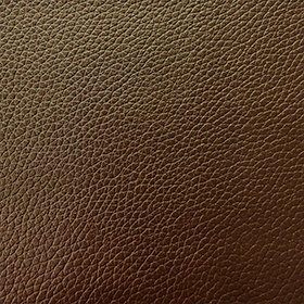 Bio-based Leather