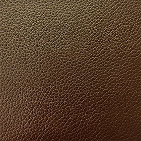 Bio-based Leather