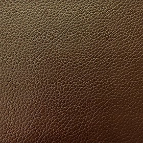 Bio-Based Leather
