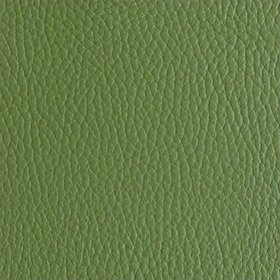 The Cactus Leather