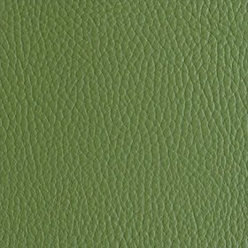 The Cactus Leather