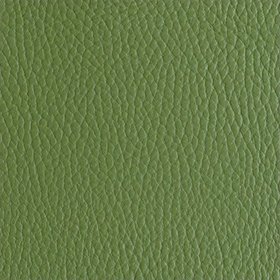 The Cactus Leather