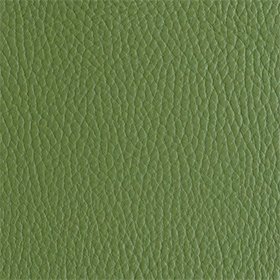 The Cactus Leather