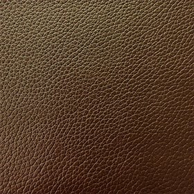 BIO-BASED LEATHER