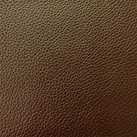Bio-based Leather