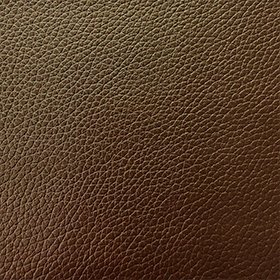 Bio-Based Leather
